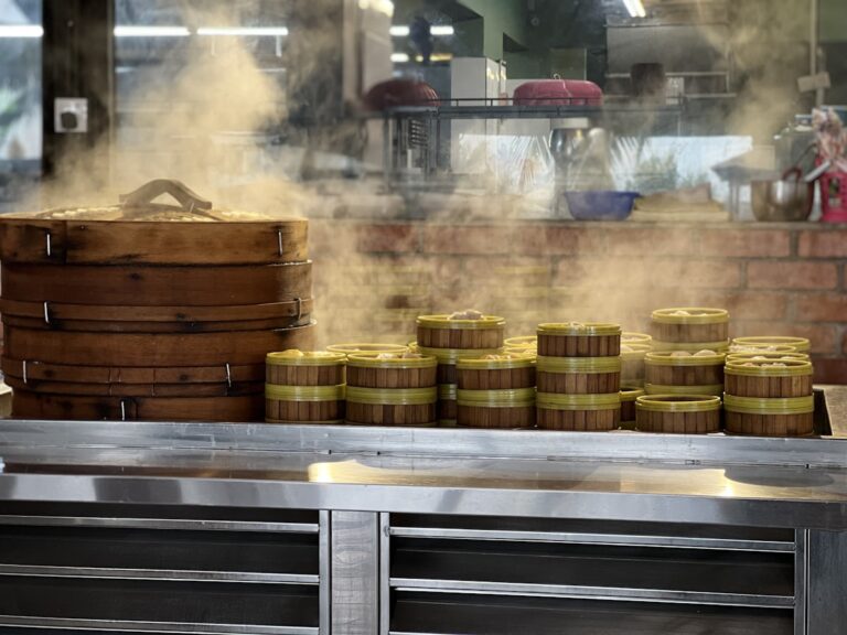 6-Tray Commercial Steam Oven