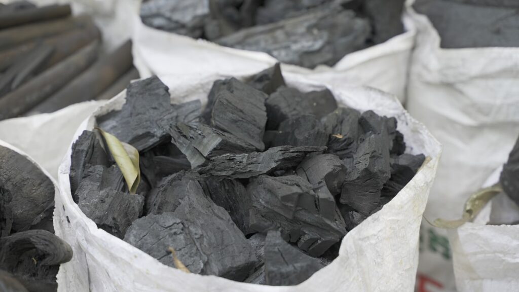 charcoal bags wholesale