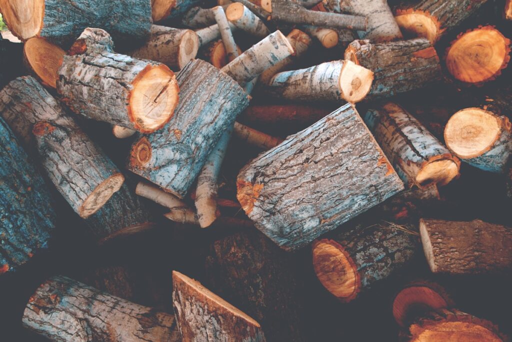 Best Wood for Smoking: A Pitmaster's Pairing Chart