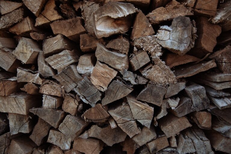 Premium Smoking Wood Chunks